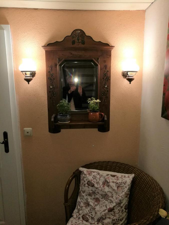 Elbhangzimmer Dresden Buitenkant foto